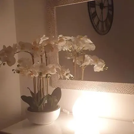 度假居 Orchidea 的里雅斯特